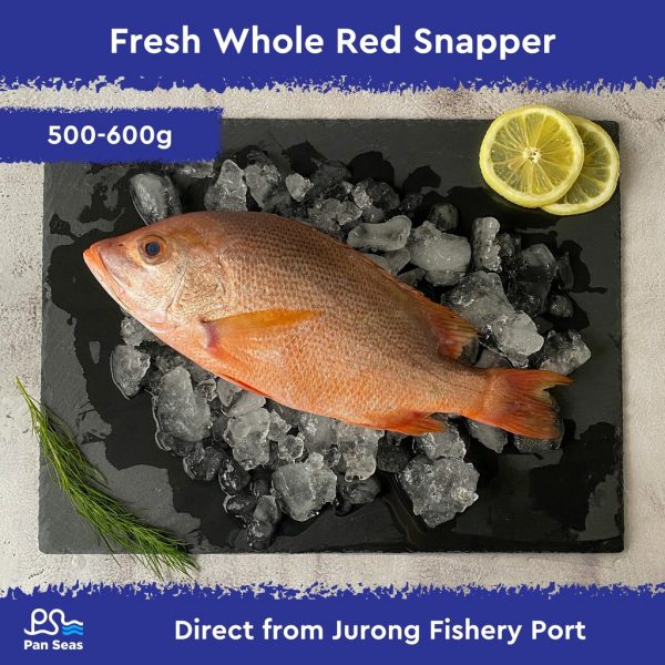Fresh Whole Red Snapper (500-600g)