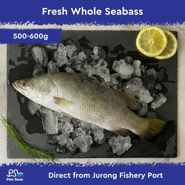 Fresh Whole Seabass (500-600g)