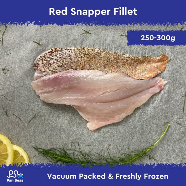 Red Snapper Fillet (200-250g | Vacuum packed)